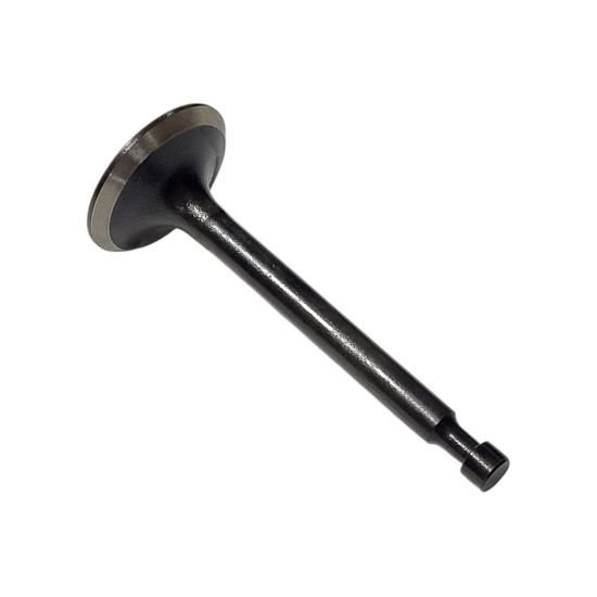 Sisselaskeklapp Strend Pro QK60 3Q4095 jaoks Sisselaskeklapp Strend Pro QK60 3Q4095 jaoks
