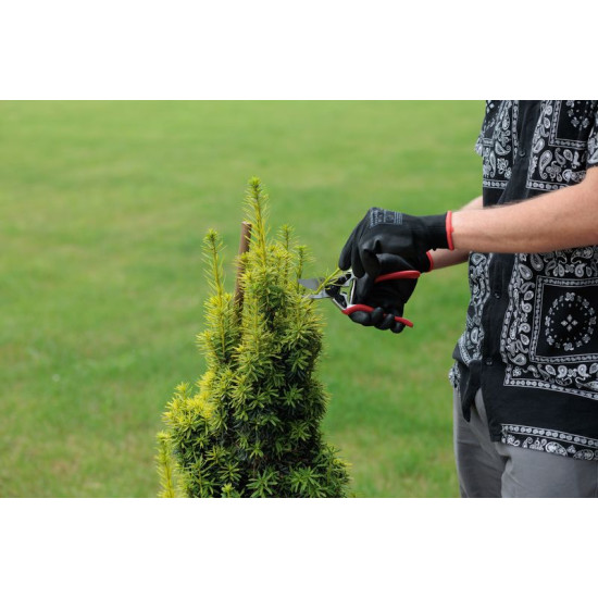 Bypass pruner 200mm Strend Pro Premium, cutting cap. 20mm Bypass pruner 200mm Strend Pro Premium, cutting cap. 20mm