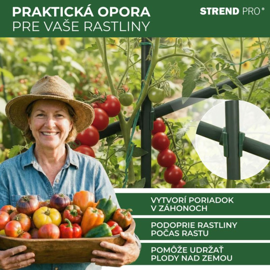 Strend Pro ühendus, plastik, pistik aia tugilattide jaoks, 16 mm, pak. 10 tk