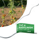 Varras GS1 1200/5,5 mm, spiraal, traat, Zn, tugitaimed ja tomatid Varras GS1 1200/5,5 mm, spiraal, traat, Zn, tugitaimed ja tomatid