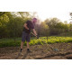 Garden rake for aeration 11teeth/21teeth + wooden handle
