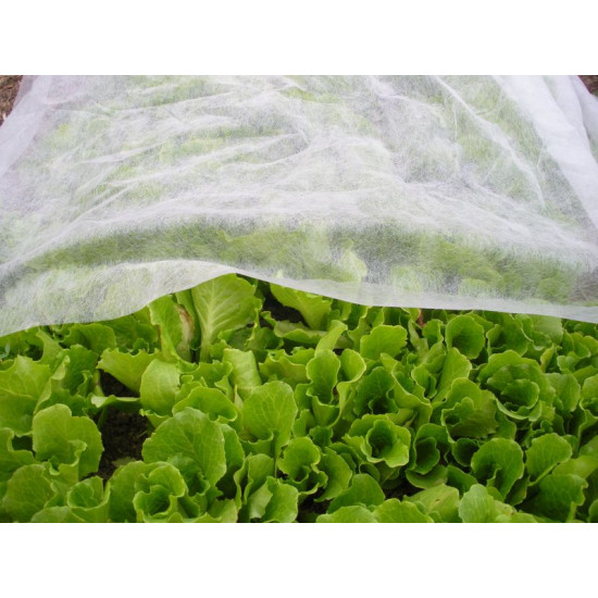 Textile Garden B1106 2x10 m, fliis, 17 g/m, valge
