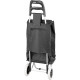Shopping trolley bag Demeter, PE/PVC, EVA, 30 kg, 35x30x96 cm Shopping trolley bag Demeter, PE/PVC, EVA, 30 kg, 35x30x96 cm