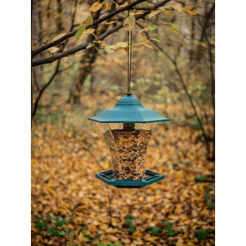 Feeder Strend Pro, lindudele, 29x30 cm, 1100 ml, plastik