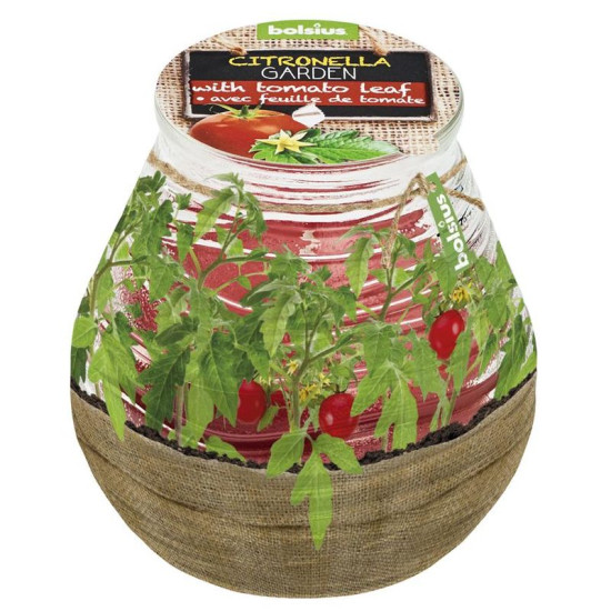 Свеча bolsius Teracce Citronella, репеллент, 94/91 мм, помидор
