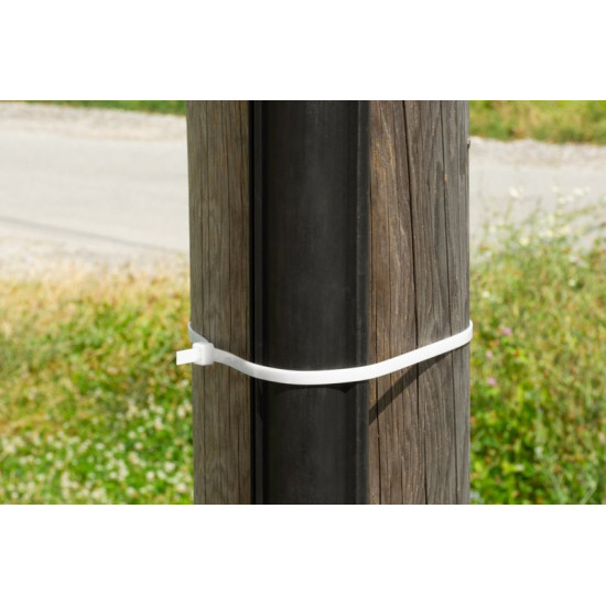 Strend Pro XXL CT66BW, eriti TUGEV, 1200x9 mm, 50 tk, valge, nailon, köide Strend Pro XXL CT66BW, eriti TUGEV, 1200x9 mm, 50 tk, valge, nailon, köide