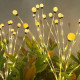 Лампа на солнечной батарее, Strend Pro Garden Florro, 42xled, 66 см. Лампа на солнечной батарее, Strend Pro Garden Florro, 42xled, 66 см.