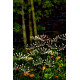 Strend Pro Garden Lara lamp, solar, 60xLED, 72 cm Strend Pro Garden Lara lamp, solar, 60xLED, 72 cm