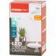Strend Pro lamp, laud, LED, valgustugevuse valija, USB, 2 W, valge