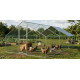 Strend Pro kanakuut, linnulihale, linnumajale, puurile, katusega, 3x6x2 m