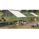 Chicken coop Strend Pro, for poultry, aviary, cage, with roof, 3x8x2 m