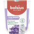 Bolsius True Scents candle, lavender, 80x73 mm, in glass