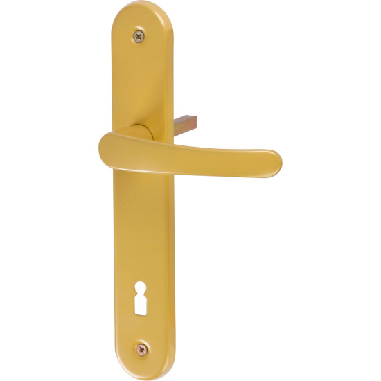 Oval shield and oval handle set Michaela K90, gold