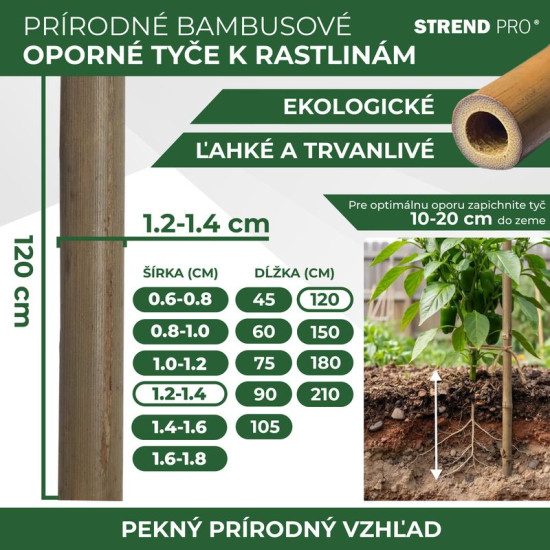 Stick Garden KBT 1200/12-14 mm, 10 pcs, bamboo, for plants support