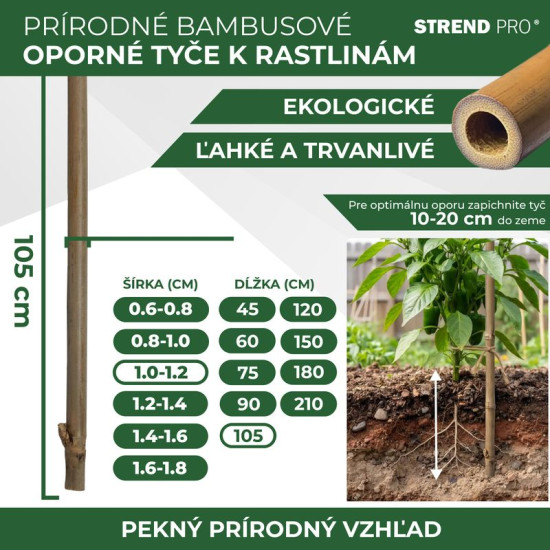 Stick Garden KBT 1050/10-12 mm, 10 pcs, bamboo, for plants support