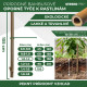 Stick Garden KBT 1050/10-12 mm, 10 pcs, bamboo, for plants support