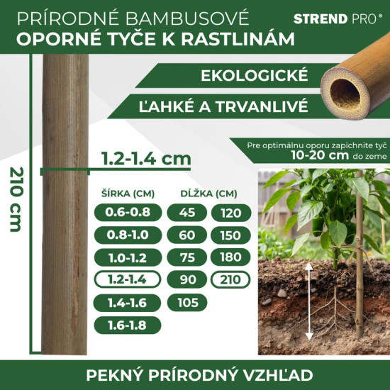 Stick Garden KBT 2100/12-14 mm, 10 tk, bambus, taimede toetamiseks Stick Garden KBT 2100/12-14 mm, 10 tk, bambus, taimede toetamiseks
