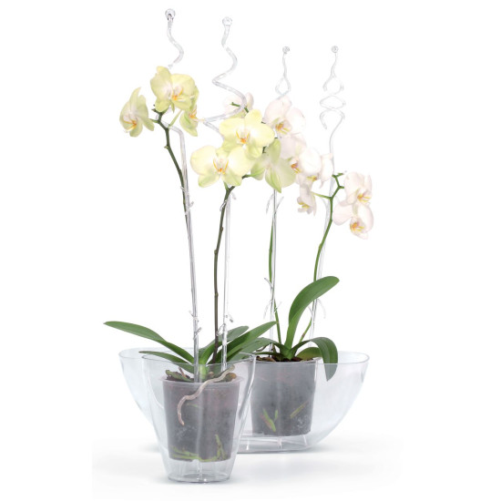 Bar for orchide COUBI ISTC01, 60 cm, transparent Bar for orchide COUBI ISTC01, 60 cm, transparent