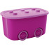 Kaanega karp KIS Funny L, 46 lit., roosa, 39x58x32 cm