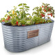 Strend Pro Garden raised bed, galvanized, 100x200x78 cm Strend Pro Garden raised bed, galvanized, 100x200x78 cm