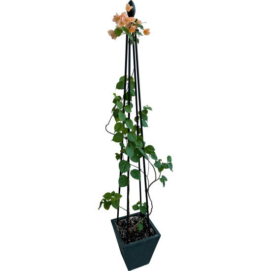 Strend Pro tugi, taimedele, 4 jalga, 150 cm Strend Pro tugi, taimedele, 4 jalga, 150 cm