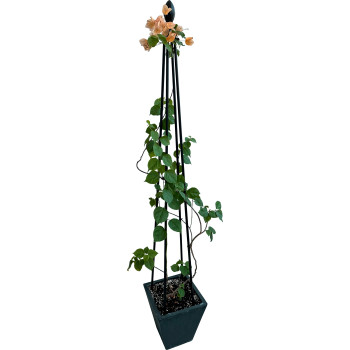 Strend Pro tugi, taimedele, 4 jalga, 180 cm