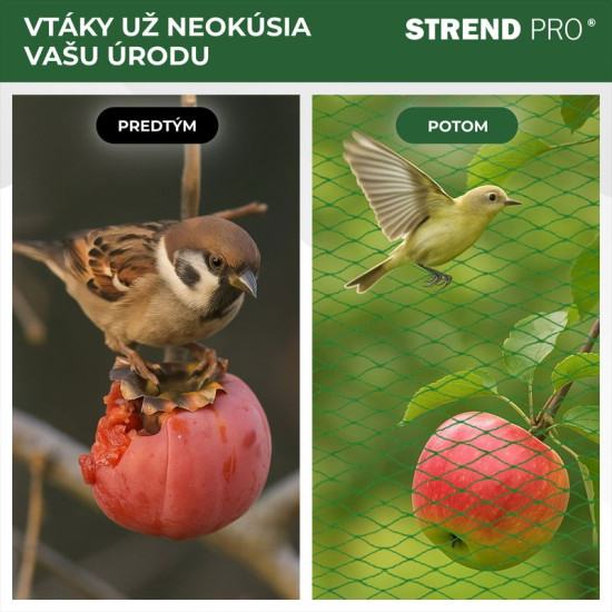 Сетка защитная от птиц Strend Pro, 4x10 м, размер ячеек 18 мм, PE Сетка защитная от птиц Strend Pro, 4x10 м, размер ячеек 18 мм, PE