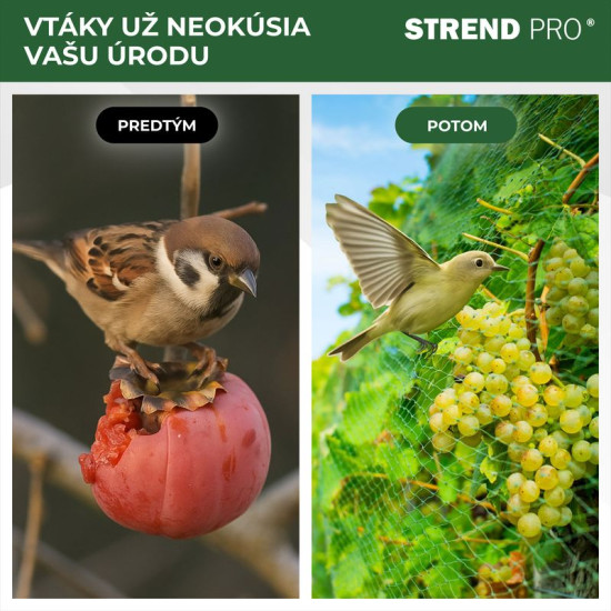 Сетка защитная от птиц Strend Pro, 4x20 м, размер ячеек 18 мм, PE Сетка защитная от птиц Strend Pro, 4x20 м, размер ячеек 18 мм, PE