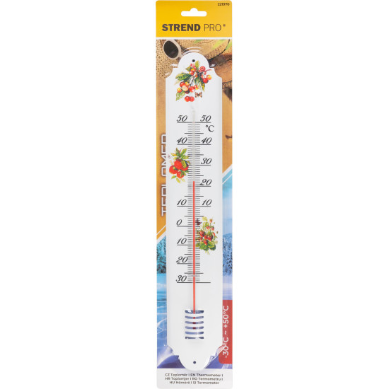 Termomeeter Strend Pro TM-156 Country, 500 mm