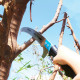 Telescopic Branch Pruner AQUACRAFT® 320075, 3D, AL, 150-300 cm