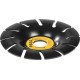 Strend Pro Disc Rasp 125mm puidust nurklihvija