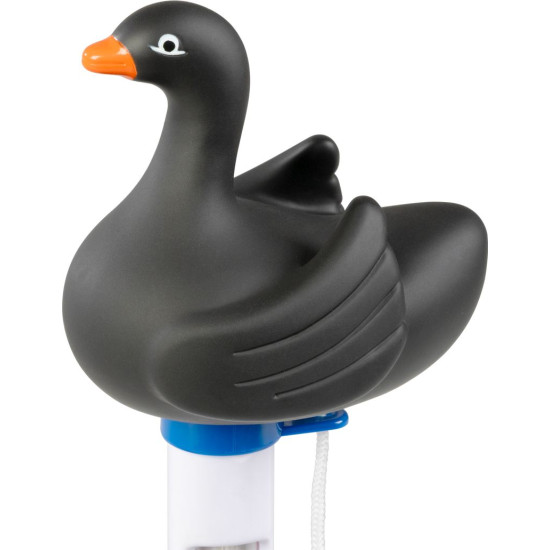 Thermometer Strend Pro, floating, Black Swan, pool