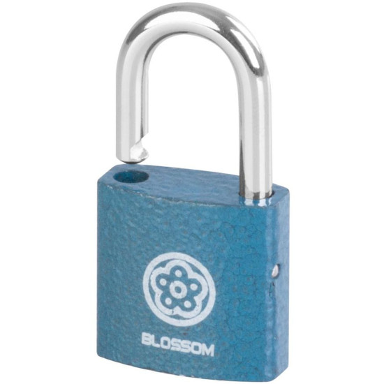Padlock 25 mm Blossom, steel, Unique Padlock 25 mm Blossom, steel, Unique