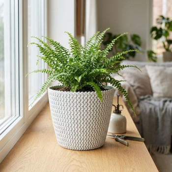 Flower pot SPLOFY 295/249 mm, 11.5 lit, white