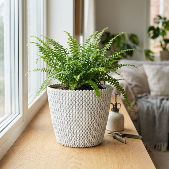Flower pot SPLOFY 295/249 mm, 11.5 lit, white Flower pot SPLOFY 295/249 mm, 11.5 lit, white