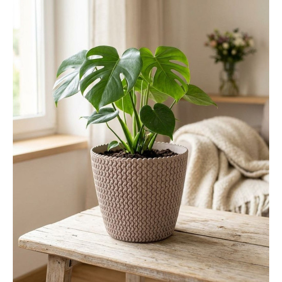 Flower pot SPLOFY 295/249 mm, 11.5 lit, mocca Flower pot SPLOFY 295/249 mm, 11.5 lit, mocca