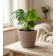 Flower pot SPLOFY 295/249 mm, 11.5 lit, mocca Flower pot SPLOFY 295/249 mm, 11.5 lit, mocca