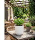 Flower pot RATOLLA Round 250, white