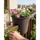 Flower pot RATOLLA Railing Oval 300, brown Flower pot RATOLLA Railing Oval 300, brown