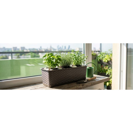 Flower pot RATOLLA Case P 500, mocca Flower pot RATOLLA Case P 500, mocca
