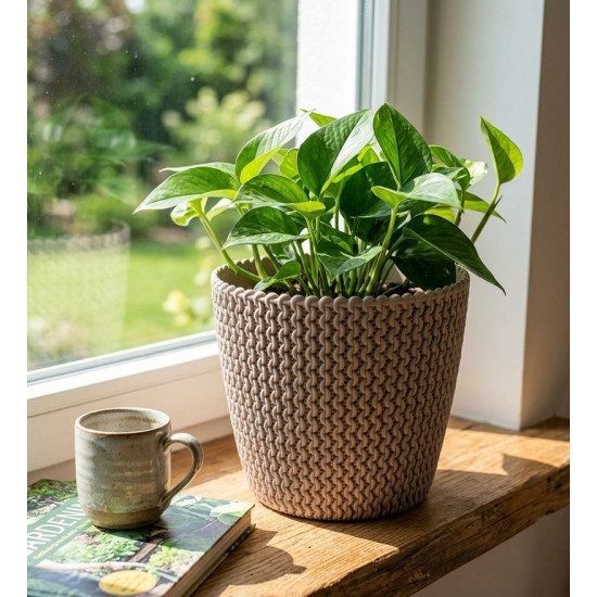 Flower pot SPLOFY 218/184 mm, 5.0 lit, mocca Flower pot SPLOFY 218/184 mm, 5.0 lit, mocca