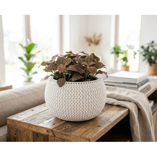 Flower pot SPLOFY Bowl 290x195 mm, white Flower pot SPLOFY Bowl 290x195 mm, white