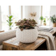 Flower pot SPLOFY Bowl 290x195 mm, white Flower pot SPLOFY Bowl 290x195 mm, white