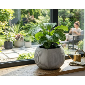 Flowerpot BETON Bowl, 29/19x20 cm, gray