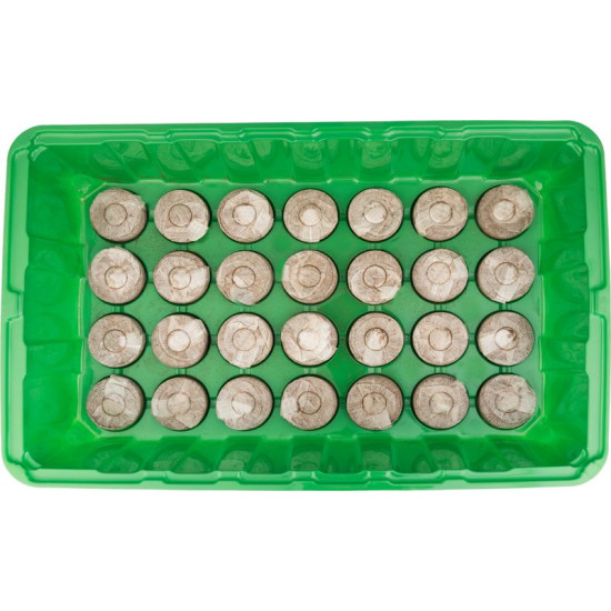 Väike propagaator Strend Pro Herrison MG-029, 28 kookospelletiga, 360x220x70 mm Väike propagaator Strend Pro Herrison MG-029, 28 kookospelletiga, 360x220x70 mm