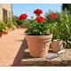 DECORA flower pot 390x310 mm, terracotta DECORA flower pot 390x310 mm, terracotta