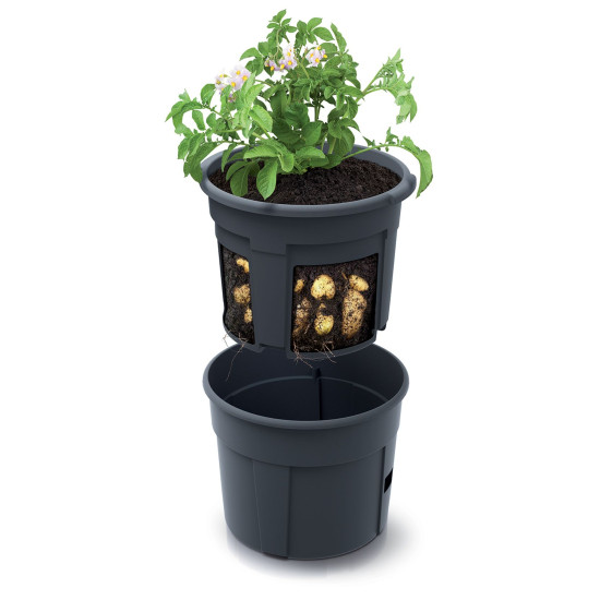 Taimepott POTATO Grower 392x316 mm, kartuli kasvatamiseks, antratsiit