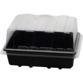 Mini steamer Strend Pro, now, 23.5x19x13.5 cm