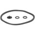 Goodfarm gasket set for sprayer 12, 16, 20 l back with nozzle