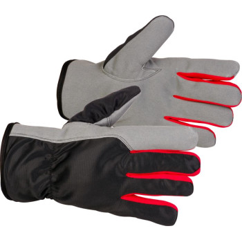 Strend Pro Bertus Winter gloves, winter, protective, insulated, textile/leather, size 10/XL